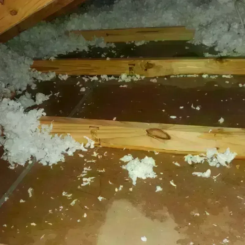 Attic Water Damage in Red River County, TX