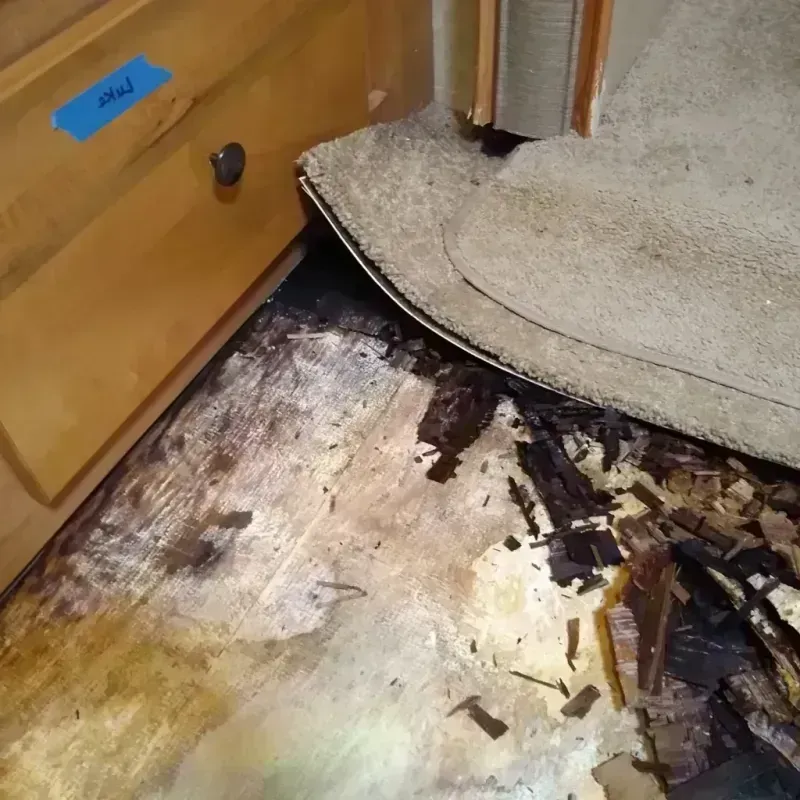 Wood Floor Water Damage in Red River County, TX